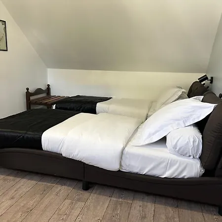 圣查尔斯酒店 酒店